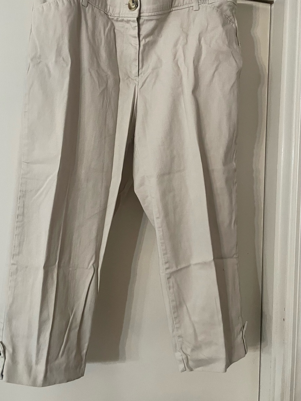 Counterparts Cropped Ankle Pants in Light Beige